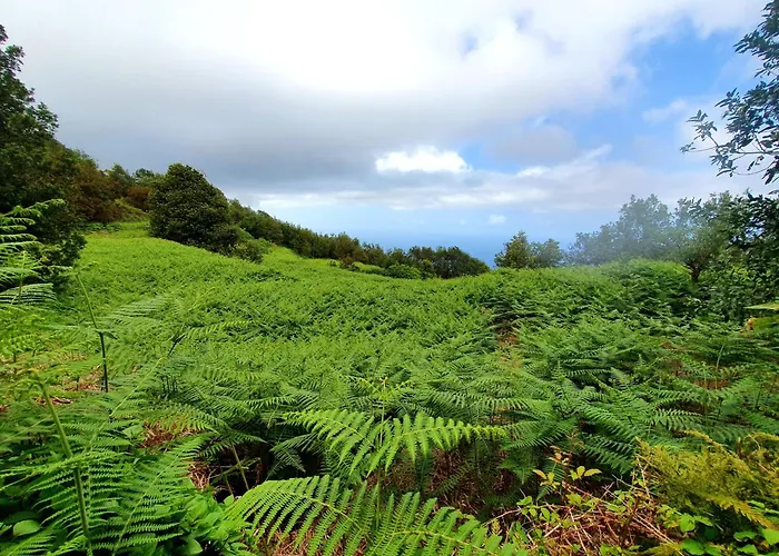 Cozy House Casa De Abuelos In Icod De Vinos By בית נופש איקוד דה לוס וינוס