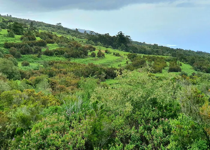 Cozy House Casa De Abuelos In Icod De Vinos By בית נופש *