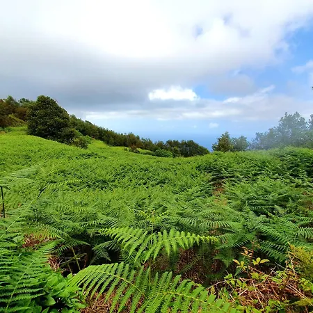 Cozy House Casa De Abuelos In Icod De Vinos By Nyaraló Icod de los Vinos