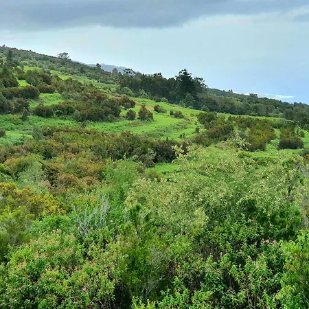 Cozy House Casa De Abuelos In Icod De Vinos By Nyaraló *